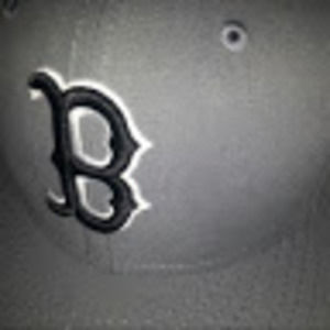 Meet your Posher, Elvis